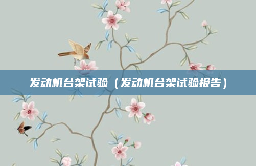 发动机台架试验(发动机台架试验报告)