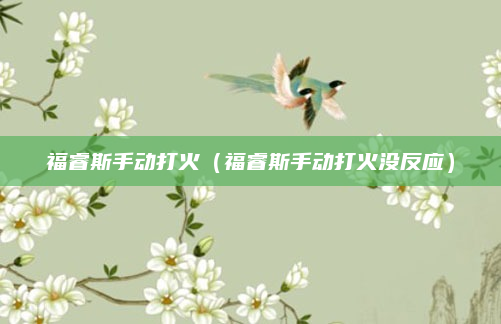 福睿斯手动打火(福睿斯手动打火没反应)