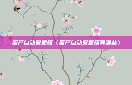 国产自动变速箱(国产自动变速箱有哪些)