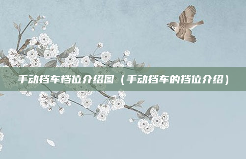 手动挡车档位介绍图(手动挡车的挡位介绍)