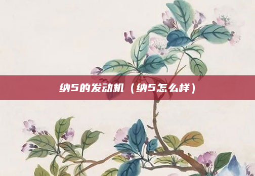 纳5的发动机(纳5怎么样)