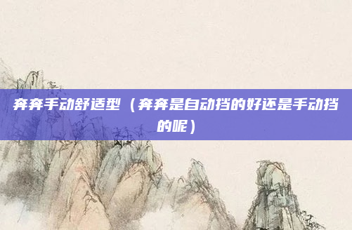 奔奔手动舒适型(奔奔是自动挡的好还是手动挡的呢)