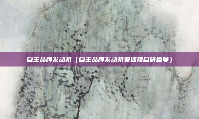 自主品牌发动机（自主品牌发动机变速箱自研型号）