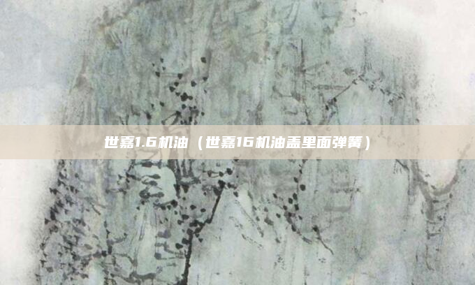 世嘉1.6机油(世嘉16机油盖里面弹簧)
