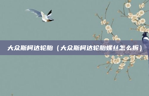 大众斯柯达轮胎（大众斯柯达轮胎螺丝怎么拆）