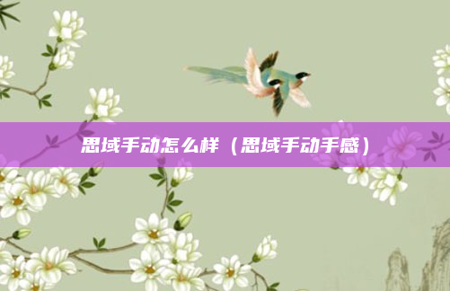 思域手动怎么样（思域手动手感）