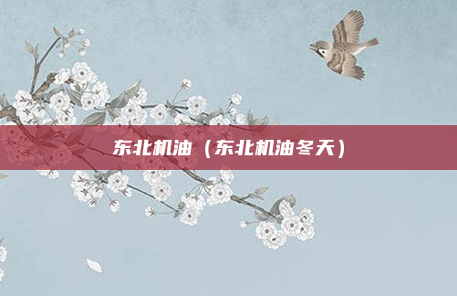东北机油（东北机油冬天）