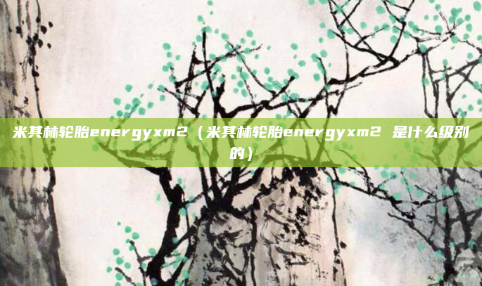 米其林轮胎energyxm2（米其林轮胎energyxm2 是什么级别的）