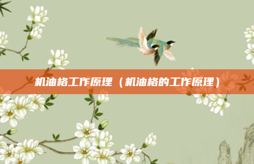 机油格工作原理（机油格的工作原理）