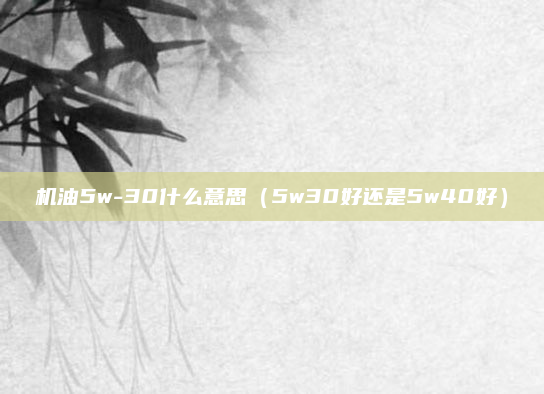 机油5w-30什么意思(5w30好还是5w40好)