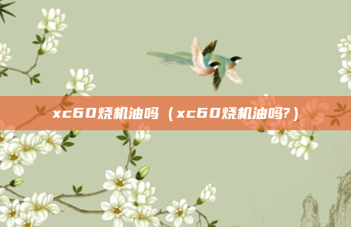 xc60烧机油吗(xc60烧机油吗?)