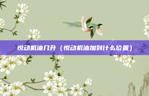 悦动机油几升（悦动机油加到什么位置）