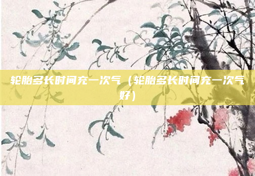轮胎多长时间充一次气(轮胎多长时间充一次气好)
