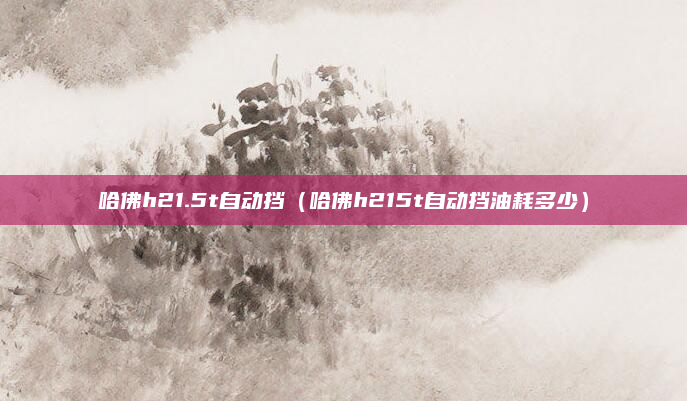 哈佛h21.5t自动挡（哈佛h215t自动挡油耗多少）