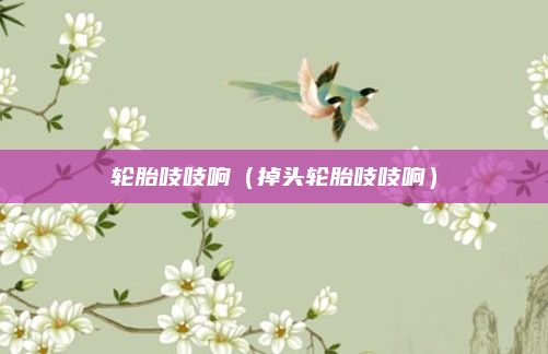 轮胎吱吱响（掉头轮胎吱吱响）