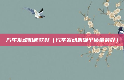 汽车发动机哪款好(汽车发动机哪个质量最好)