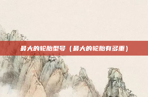 最大的轮胎型号（最大的轮胎有多重）