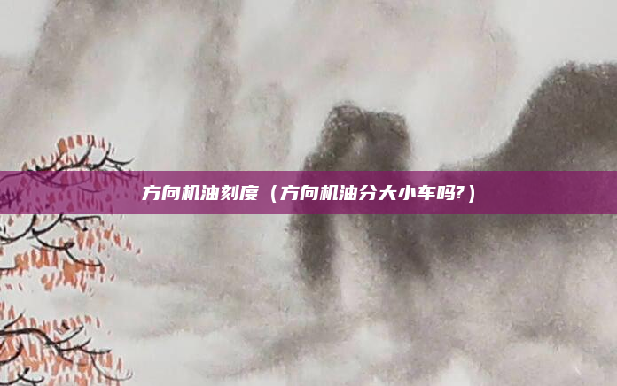 方向机油刻度（方向机油分大小车吗?）