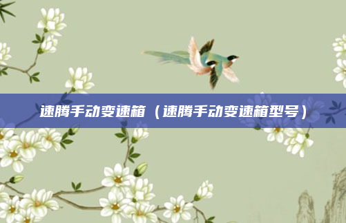 速腾手动变速箱（速腾手动变速箱型号）
