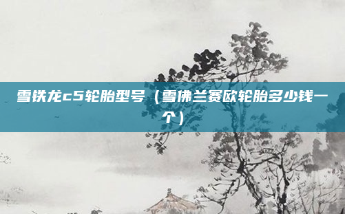 雪铁龙c5轮胎型号(雪佛兰赛欧轮胎多少钱一个)
