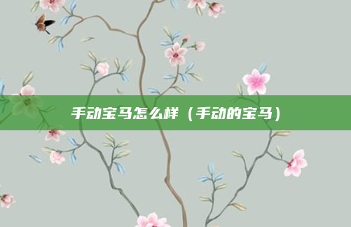手动宝马怎么样（手动的宝马）
