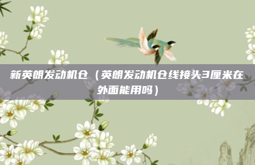 新英朗发动机仓(英朗发动机仓线接头3厘米在外面能用吗)