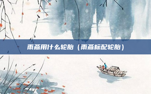 雨燕用什么轮胎(雨燕标配轮胎)