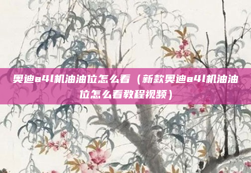 奥迪a4l机油油位怎么看(新款奥迪a4l机油油位怎么看教程视频)