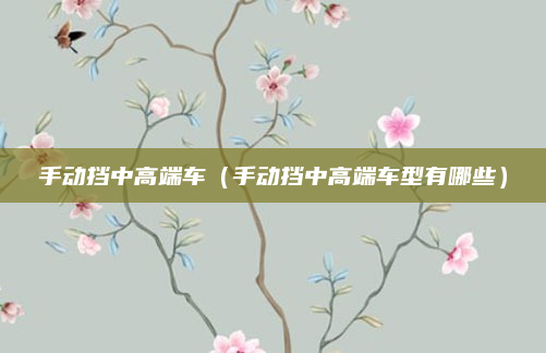 手动挡中高端车（手动挡中高端车型有哪些）
