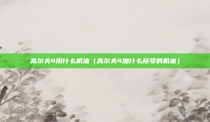 高尔夫4用什么机油（高尔夫4加什么标号的机油）