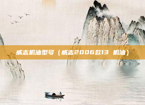 威志机油型号（威志2006款13 机油）