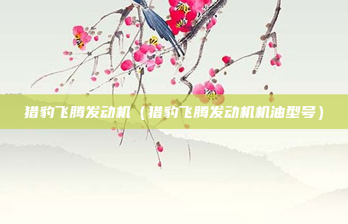 猎豹飞腾发动机(猎豹飞腾发动机机油型号)