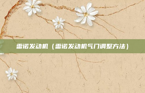 雷诺发动机(雷诺发动机气门调整方法)