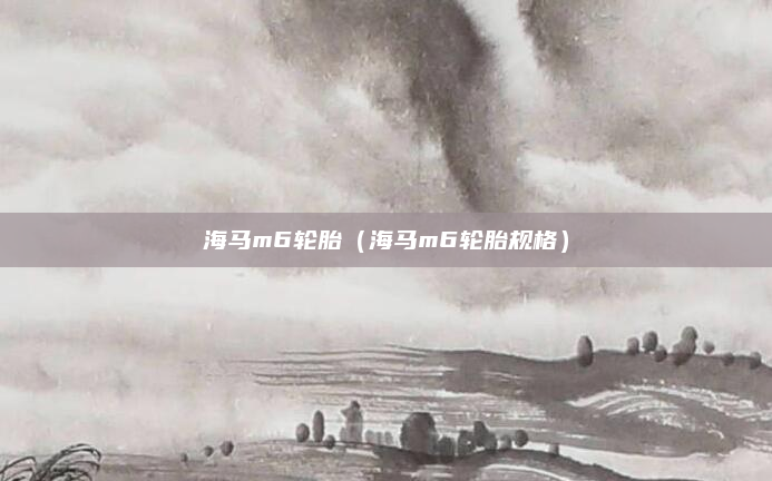 海马m6轮胎(海马m6轮胎规格)