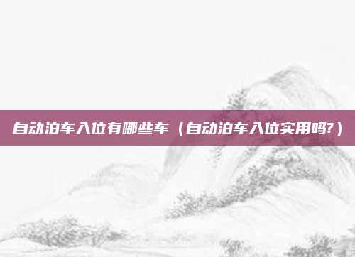 自动泊车入位有哪些车(自动泊车入位实用吗?)