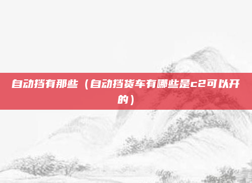自动挡有那些(自动挡货车有哪些是c2可以开的)