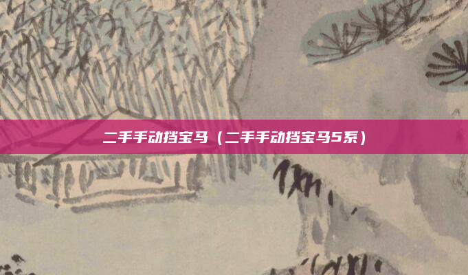 二手手动挡宝马(二手手动挡宝马5系)