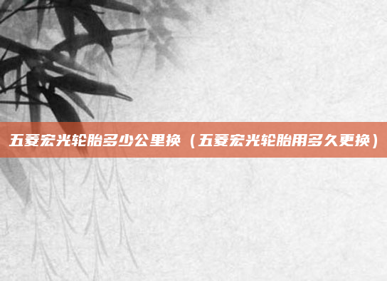 五菱宏光轮胎多少公里换(五菱宏光轮胎用多久更换)
