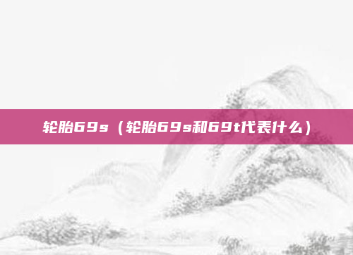 轮胎69s（轮胎69s和69t代表什么）