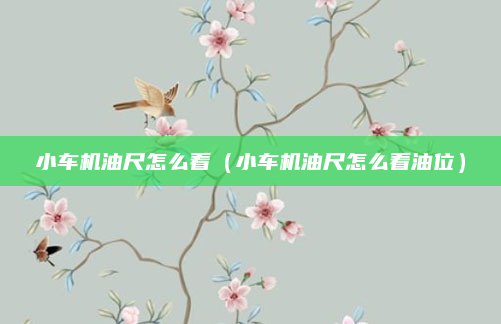 小车机油尺怎么看(小车机油尺怎么看油位)