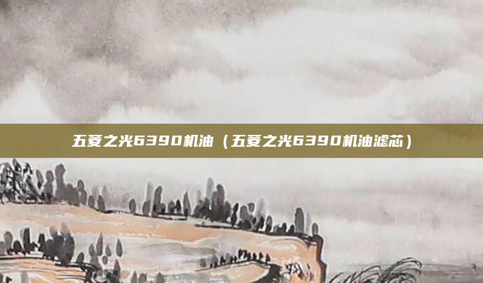五菱之光6390机油(五菱之光6390机油滤芯)