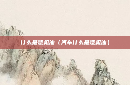 什么是烧机油(汽车什么是烧机油)