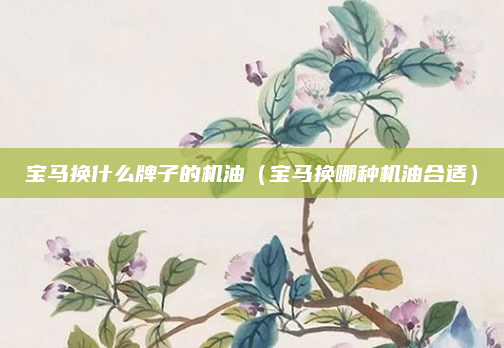 宝马换什么牌子的机油(宝马换哪种机油合适)