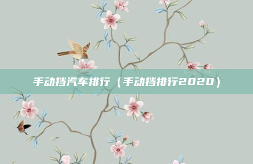 手动挡汽车排行(手动挡排行2020)