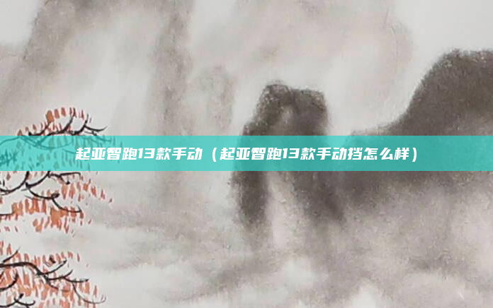起亚智跑13款手动(起亚智跑13款手动挡怎么样)