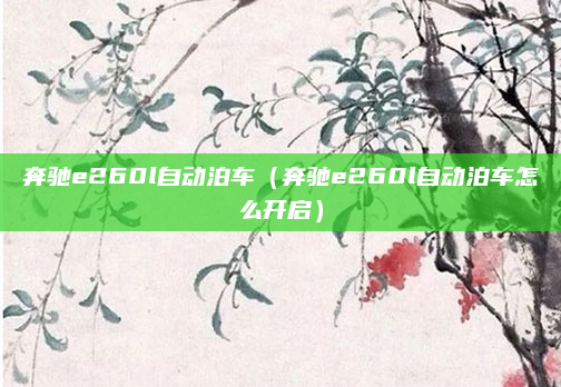 奔驰e260l自动泊车(奔驰e260l自动泊车怎么开启)