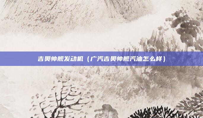 吉奥帅舰发动机(广汽吉奥帅舰汽油怎么样)