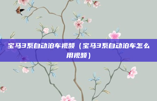 宝马3系自动泊车视频（宝马3系自动泊车怎么用视频）