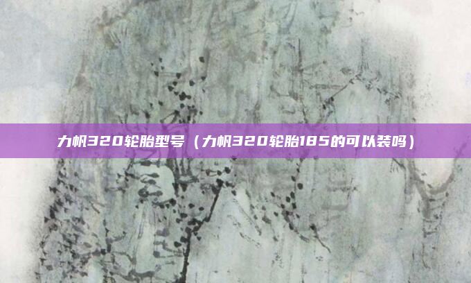 力帆320轮胎型号(力帆320轮胎185的可以装吗)