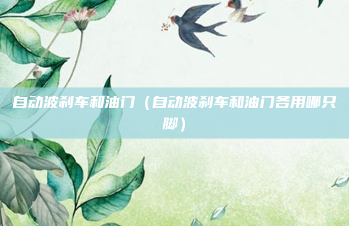 自动波刹车和油门（自动波刹车和油门各用哪只脚）